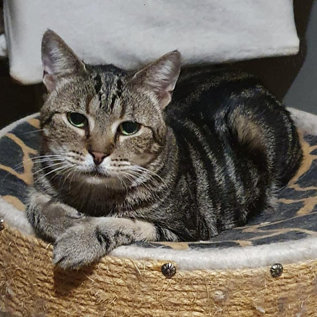 Photo of 7565   Piper