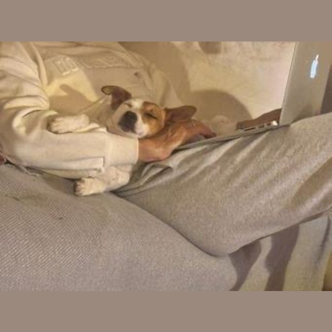 Photo of Jacky Chan Peggotty