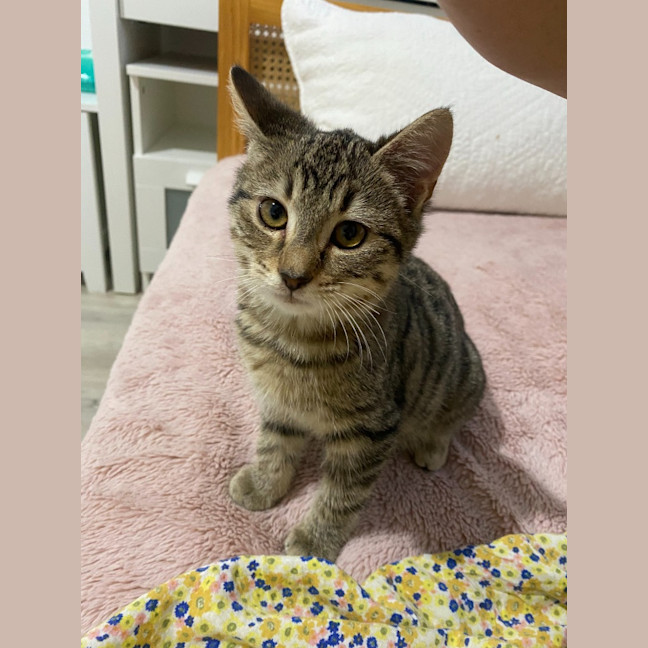 Photo of Mabel
