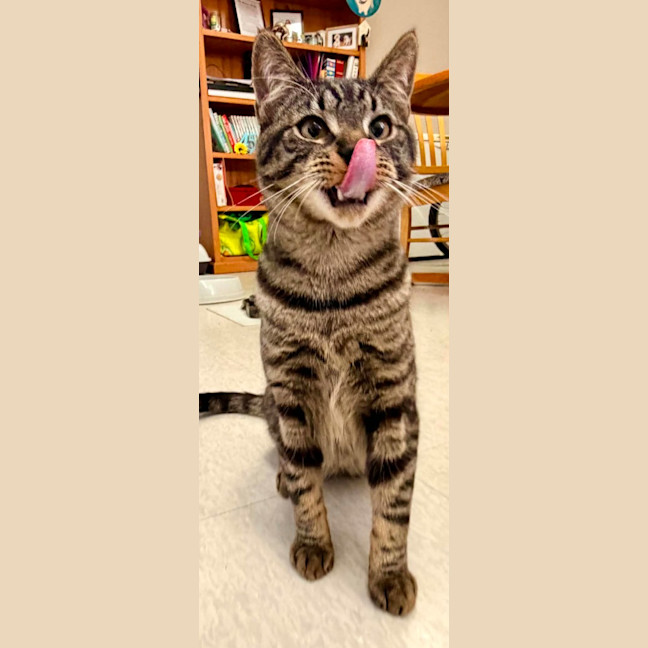 Photo of Reetee