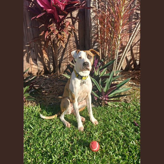 Photo of Suzie