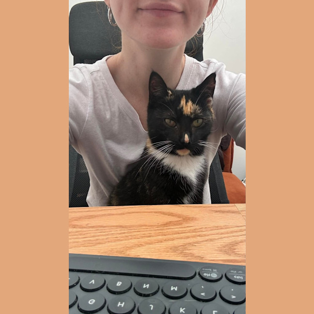 Photo of Praline