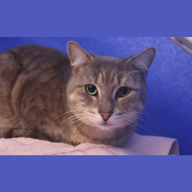 Photo of Lucky