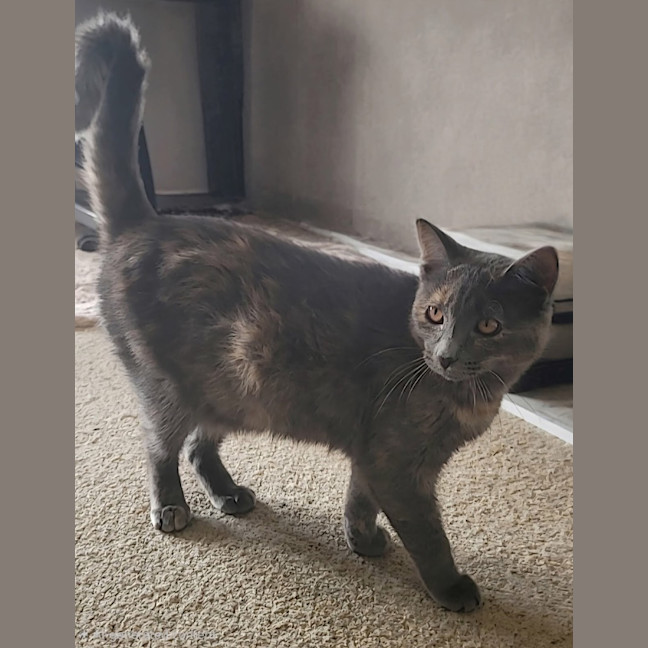 Photo of Lilly