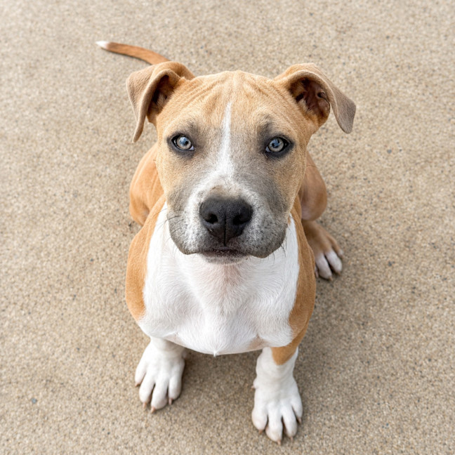 Photo of Finny