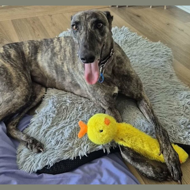 Photo of Rickie And Chippie