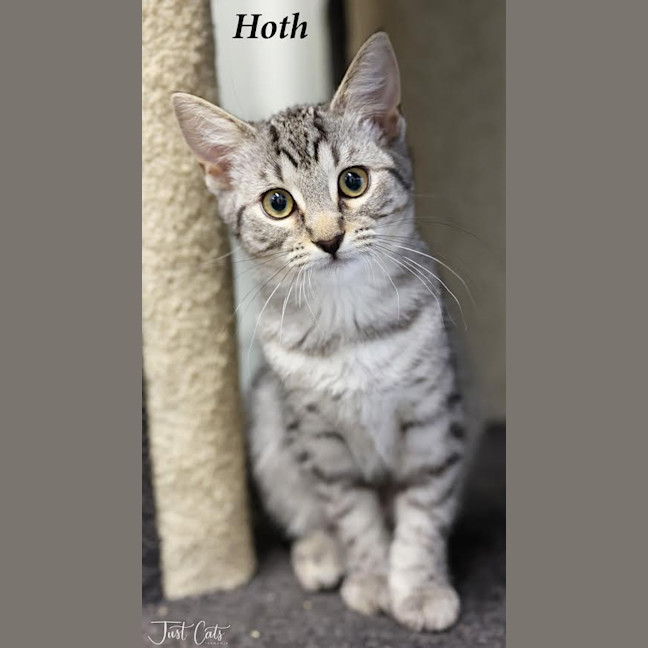 Photo of Hoth   Burnie