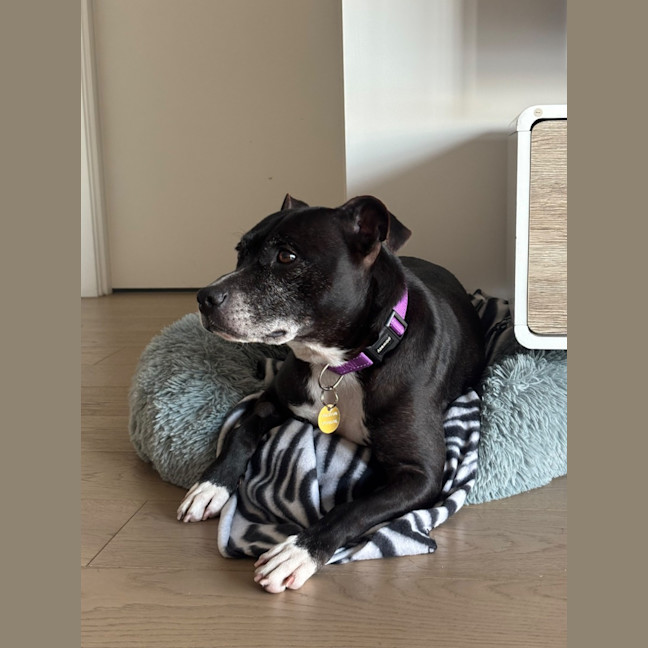 Photo of Cambria