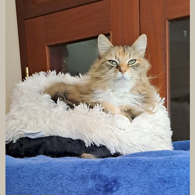 Photo of Hannah