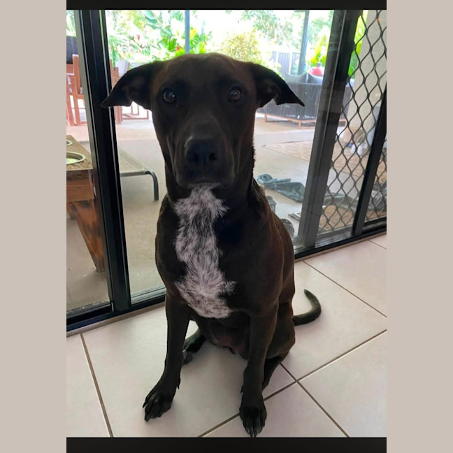 Photo of Bonnie