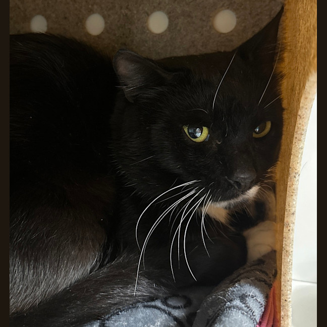 Photo of Mac K Petherbridge