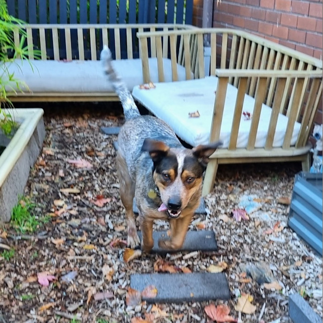 Photo of Richie Rich