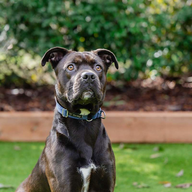 Photo of Hercules