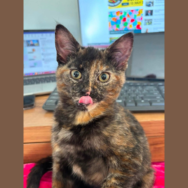 Photo of Marble