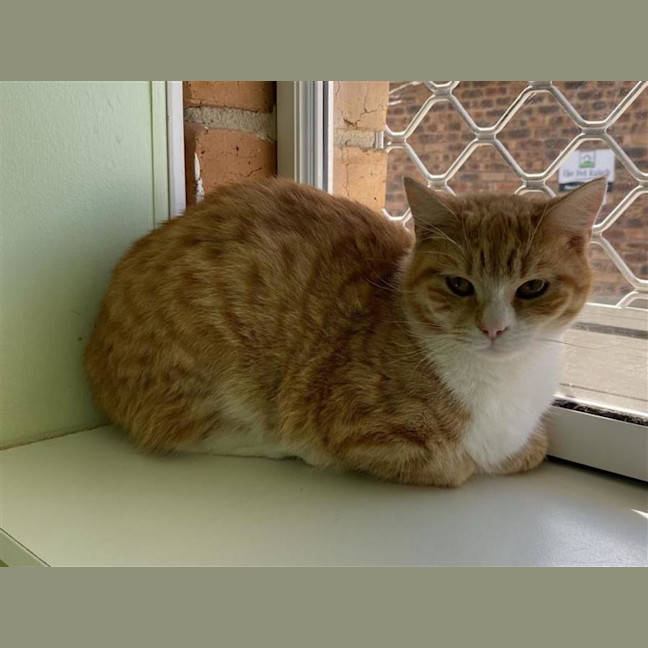 Photo of Thelma