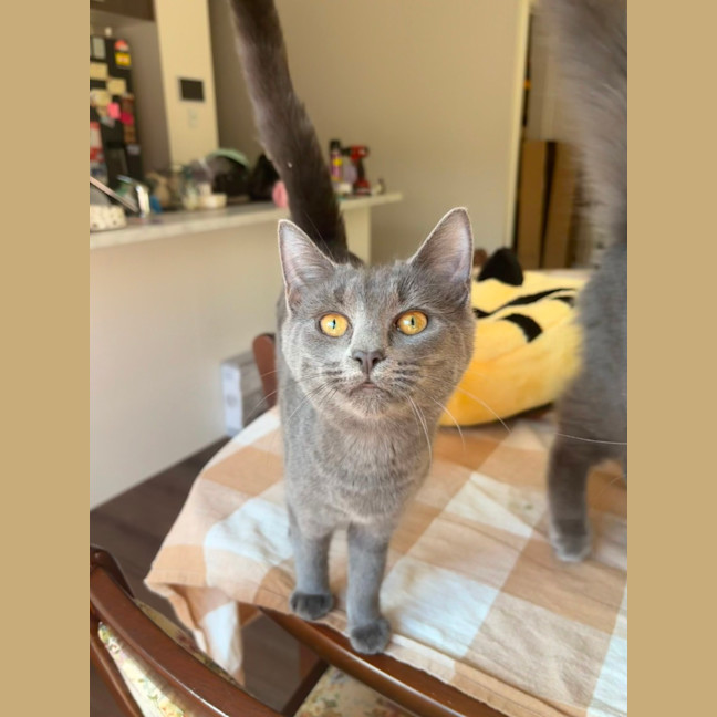 Photo of Rocket