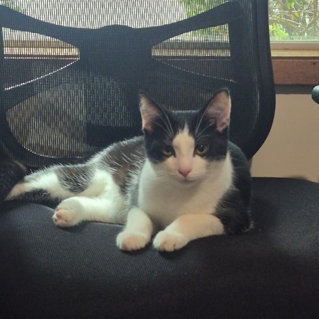 Photo of Roger