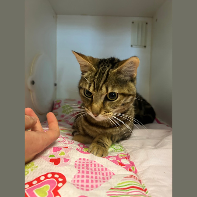 Photo of Turbo