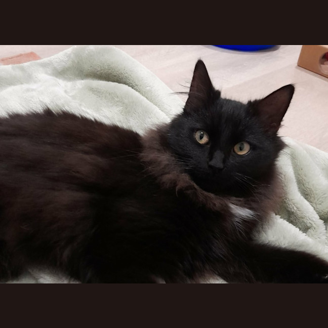 Photo of Ember