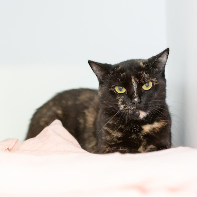 Photo of Ms. Finster