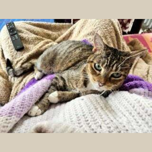 Photo of Lily