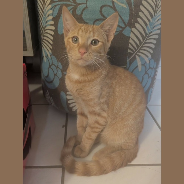 Photo of Silas