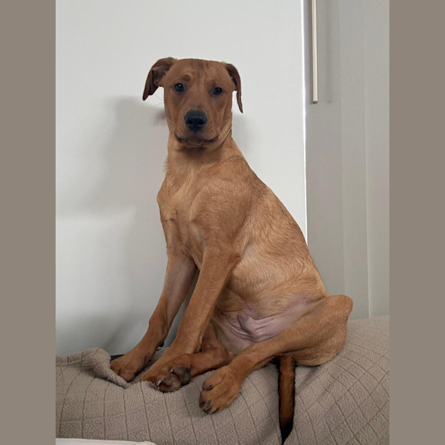 Photo of Ajax