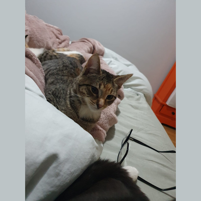 Photo of Mina