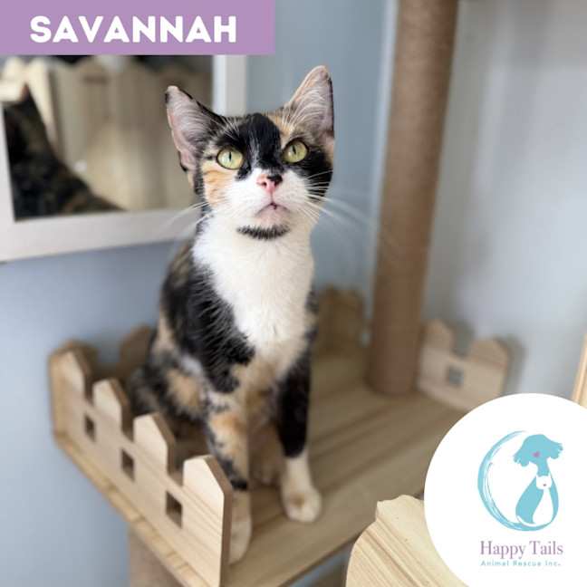 Photo of Savannah