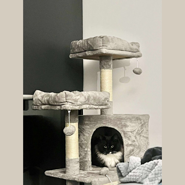 Photo of Jasmine