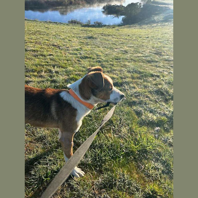 Photo of Buddy
