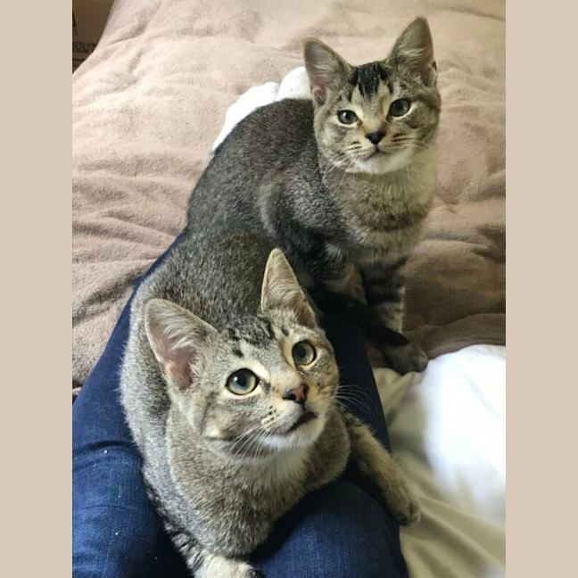 Photo of Billy And Oliver