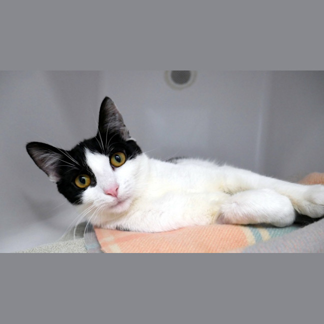 Photo of Daisy Sua015666