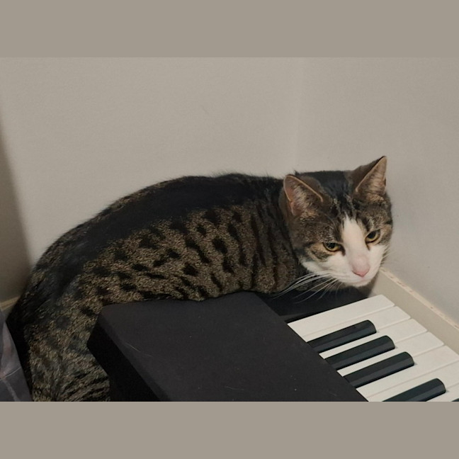 Photo of Tubby