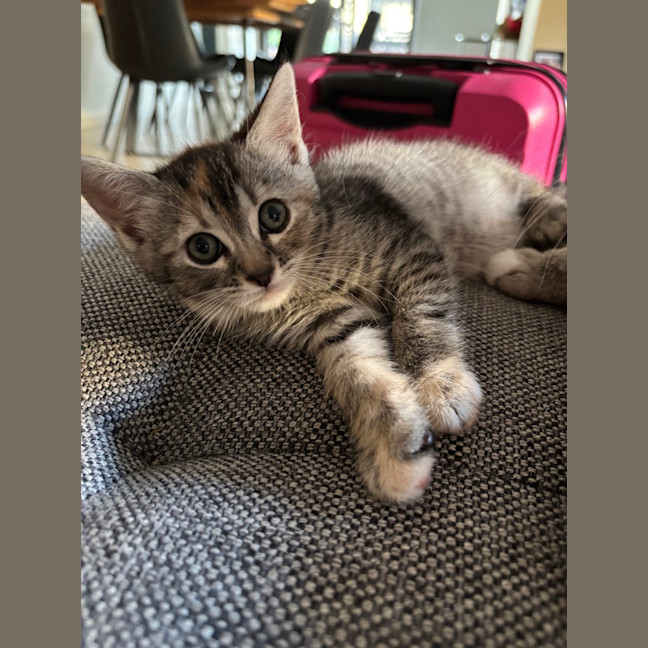 Photo of Elphaba