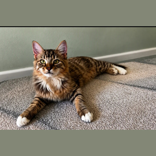 Photo of Fred