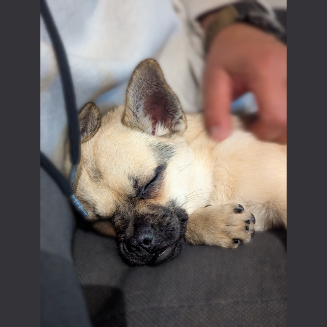 Photo of Bug 