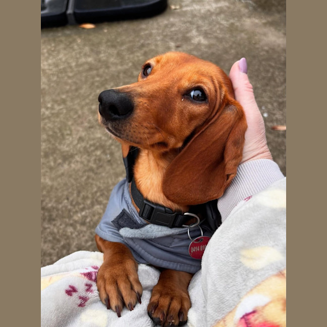 Photo of Evie And Ella