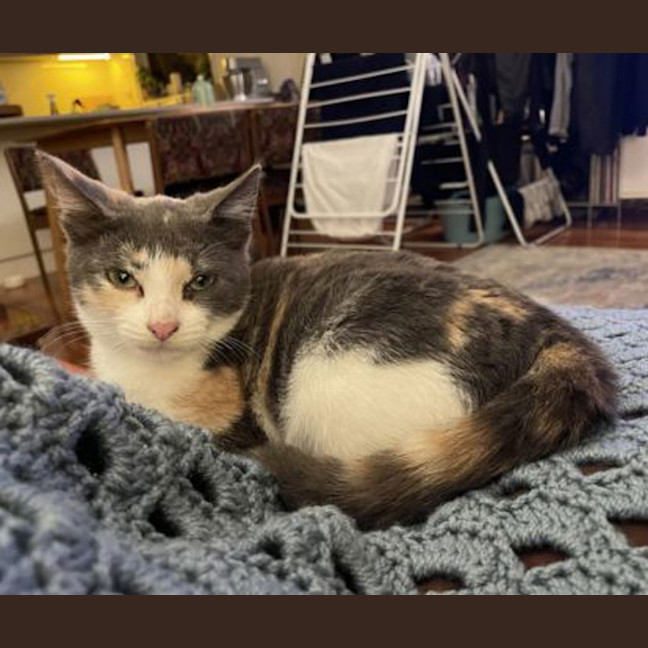 Photo of Clementine