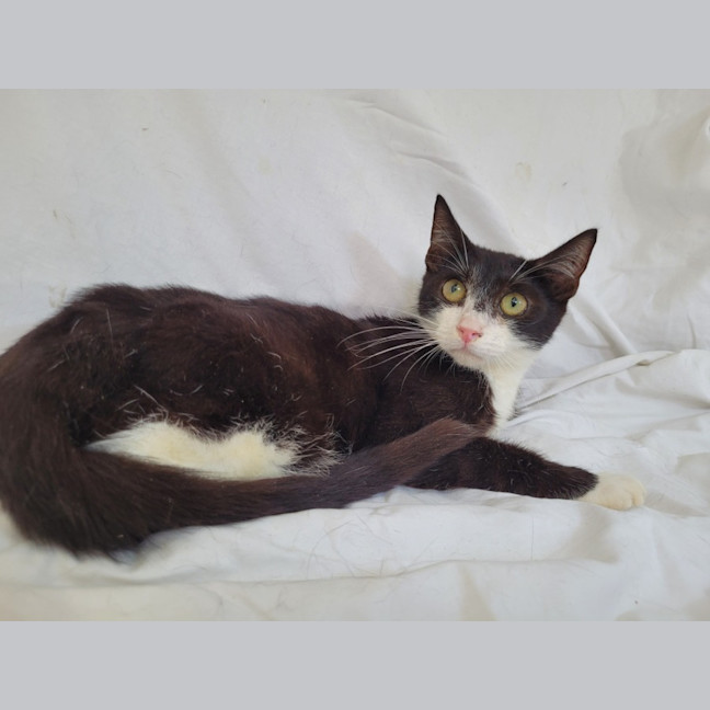 Photo of Harley ❤️