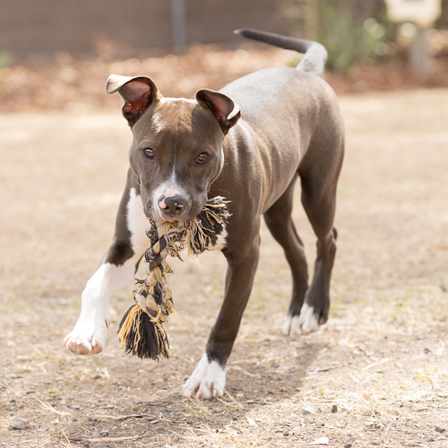 Photo of Athena