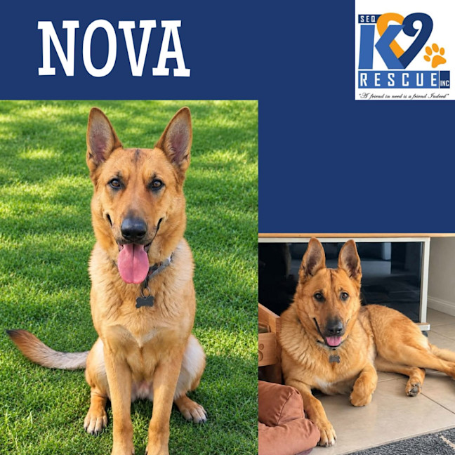 Photo of Nova