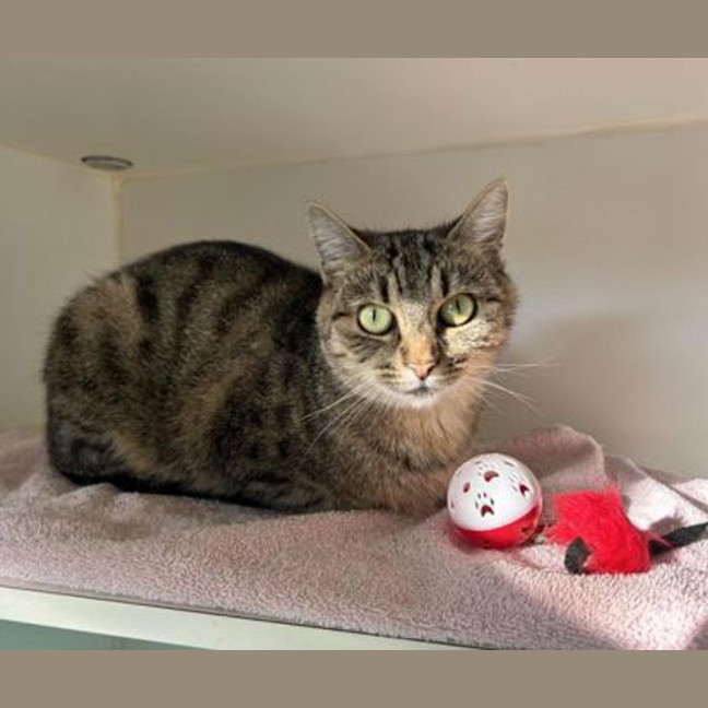 Photo of Big Eyes Betty