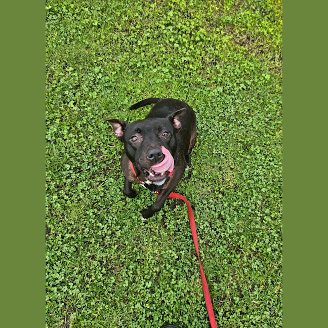 Photo of Nora