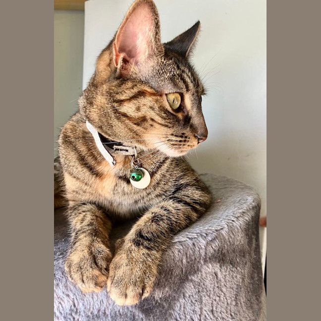 Photo of Jill