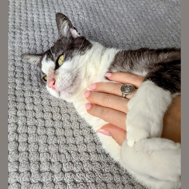 Photo of Gus **A Gentle Giant**