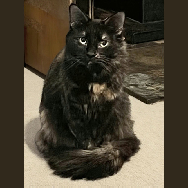 Photo of Jessie