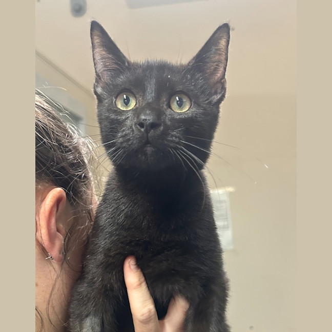 Photo of Rm Williams