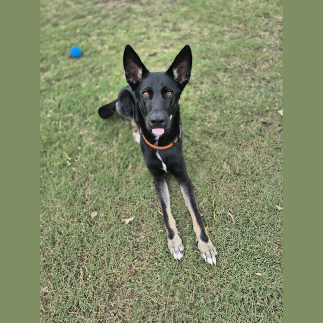 Photo of Atlas