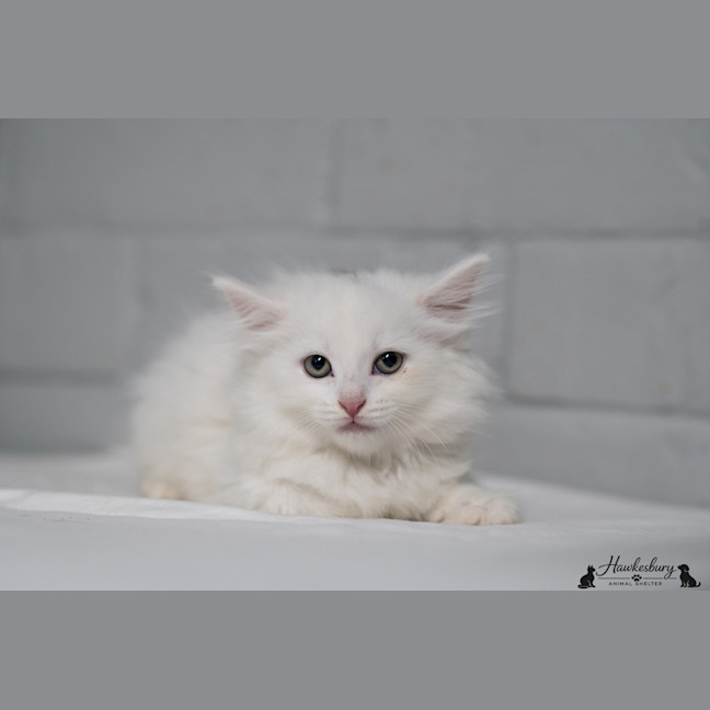 Photo of Anastasia